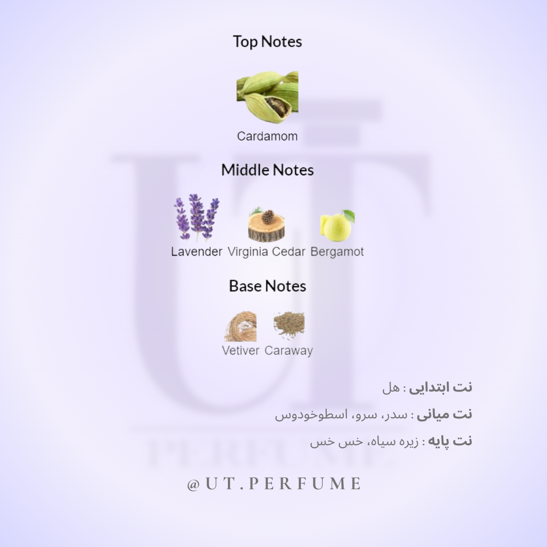 عطر ایو سن لورن لا نویت لهوم مردانه | Yves Saint Laurent - La Nuit de L`Homme