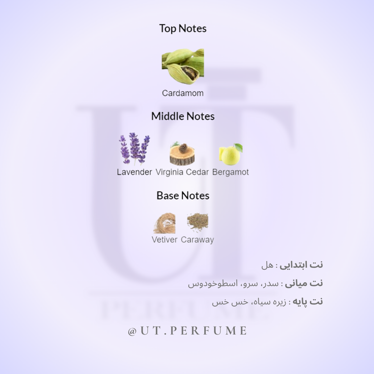 عطر ایو سن لورن لا نویت لهوم مردانه | Yves Saint Laurent - La Nuit de L`Homme