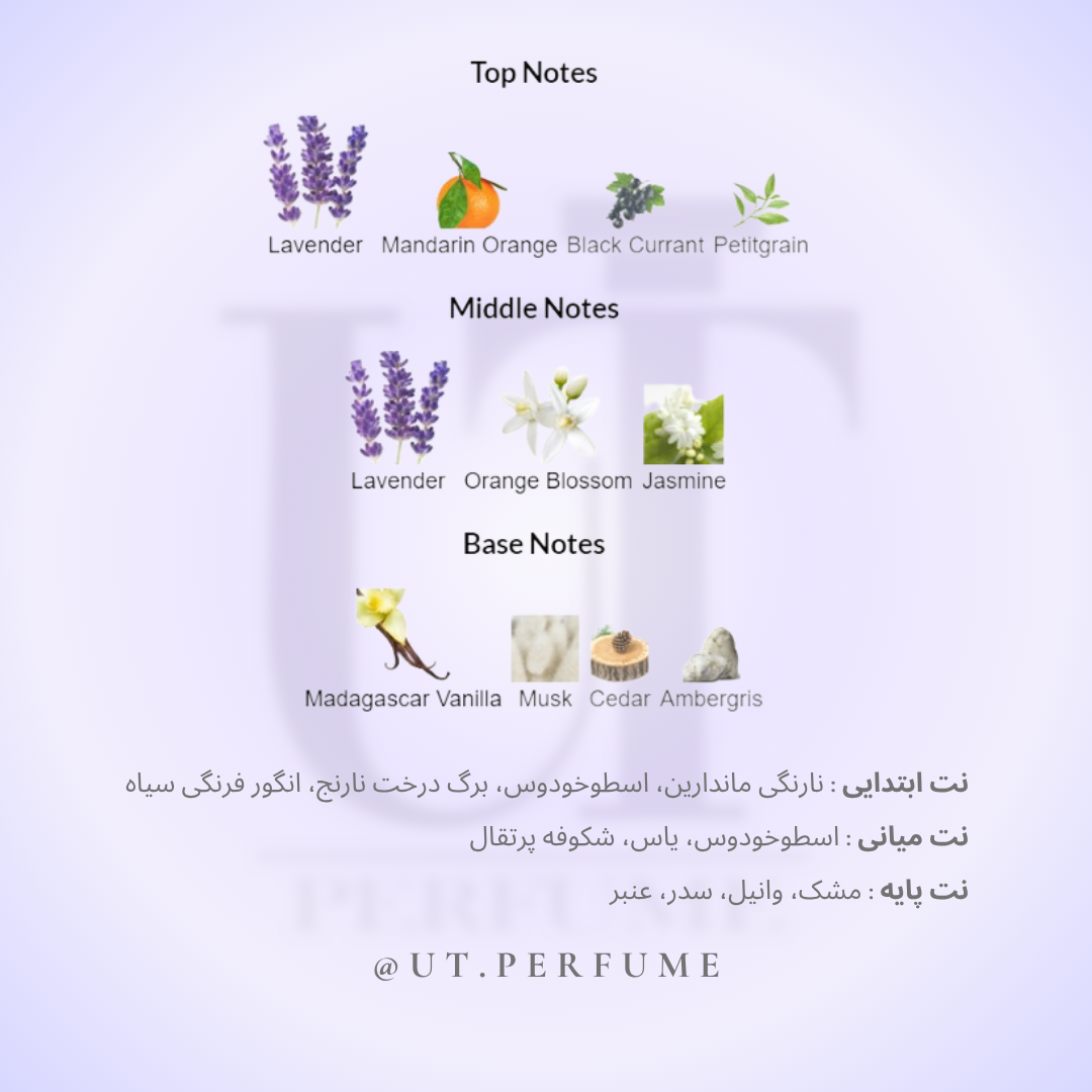 عطر ایو سن لورن لیبره زنانه | Yves Saint Laurent - Libre