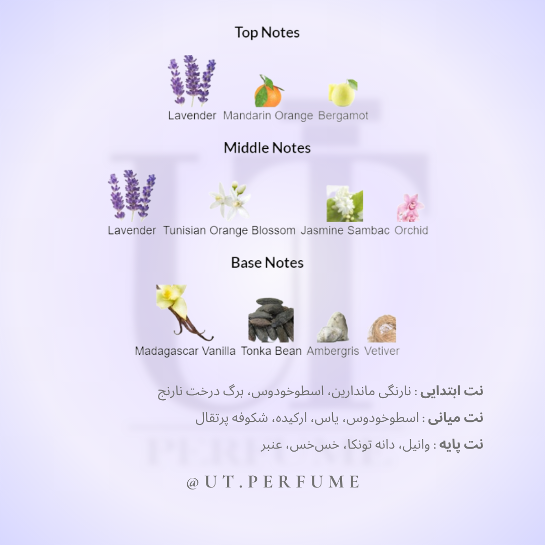 عطر ایو سن لورن لیبر اینتنس زنانه | Yves Saint Laurent - Libre Intense