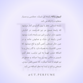 عطر ایو سن لورن اپیوم زنانه | Yves Saint Laurent - Opium