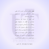 عطر ایو سن لورن وای مردانه | Yves Saint Laurent - Y