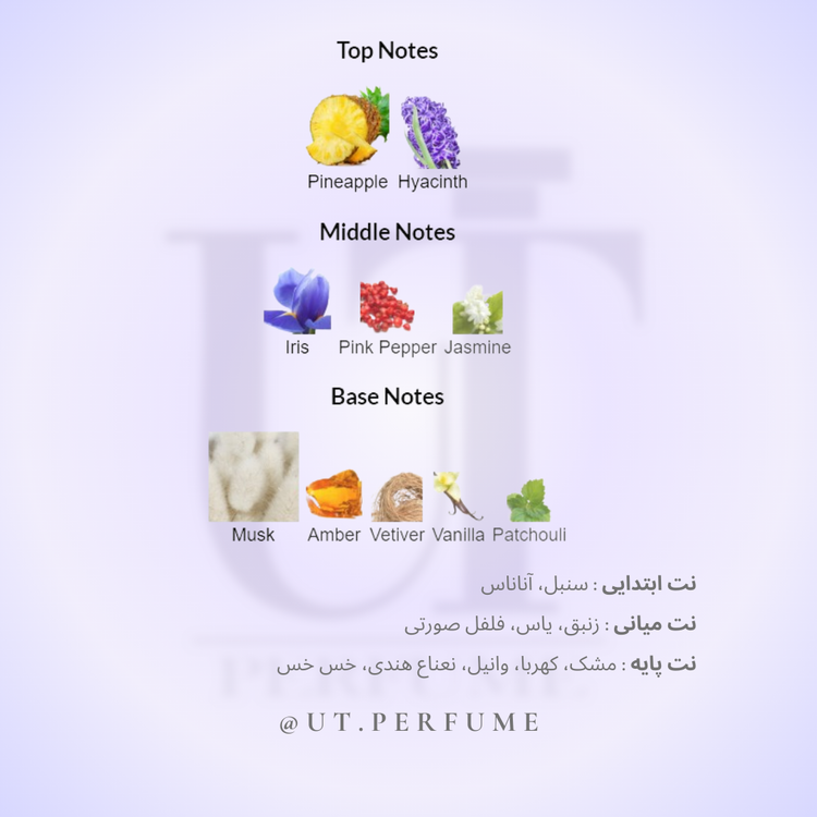 عطر زرجف اکسنتو-اچنتو-اسنتو | Xerjoff - Accento