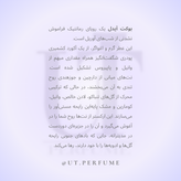 عطر کازاموراتی زرجوف بوکت آیدل زنانه | Xerjoff - Casamorati Bouquet Ideale