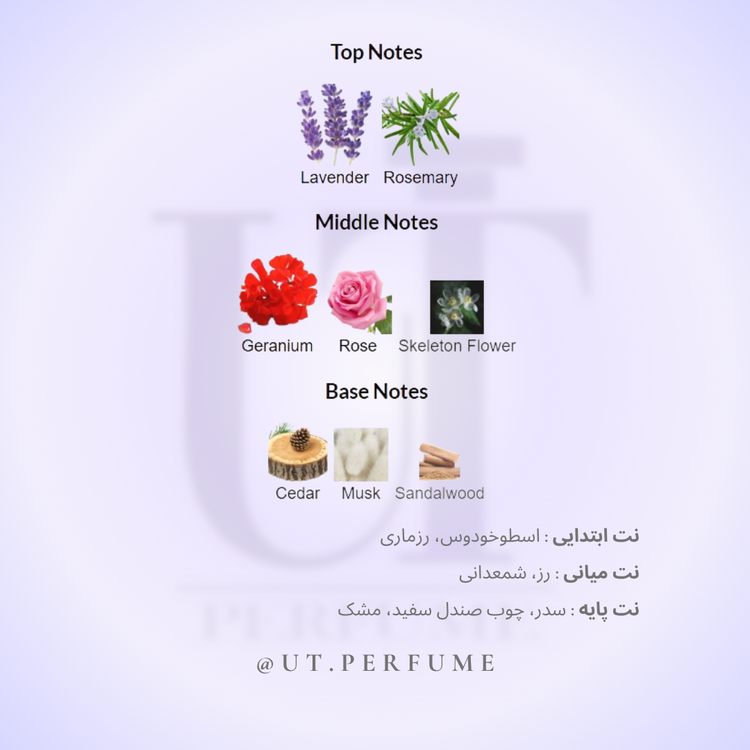عطر زرجوف کازاموراتی کاسافیوچرا (کاسافوتورا) | Xerjoff - Casamorati Casafutura