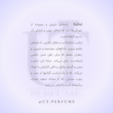 عطر زرجوف کازاموراتی ایتالیکا | Xerjoff - Casamorati Italica