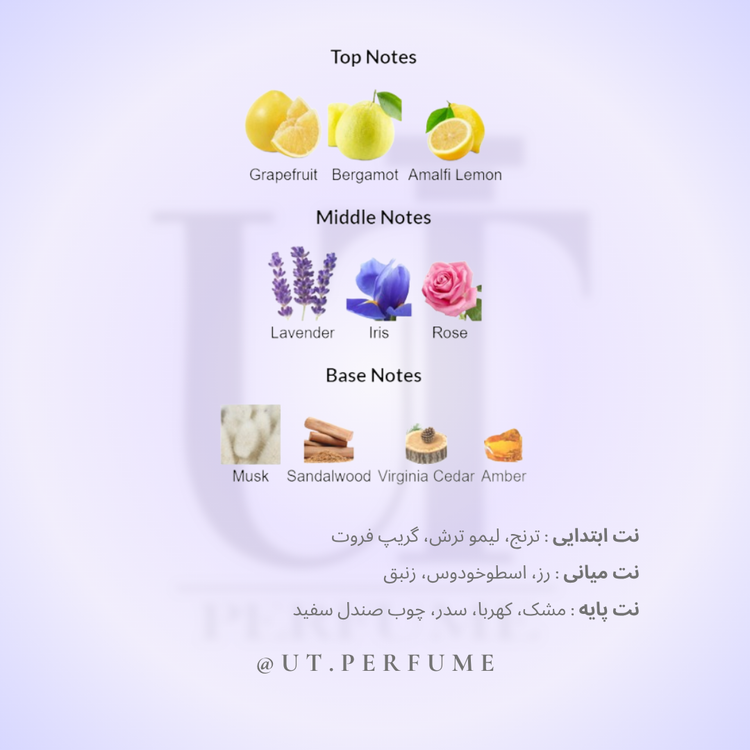 عطر زرجوف کازاموراتی مفیستو مردانه | Xerjoff - Casamorati Mefisto