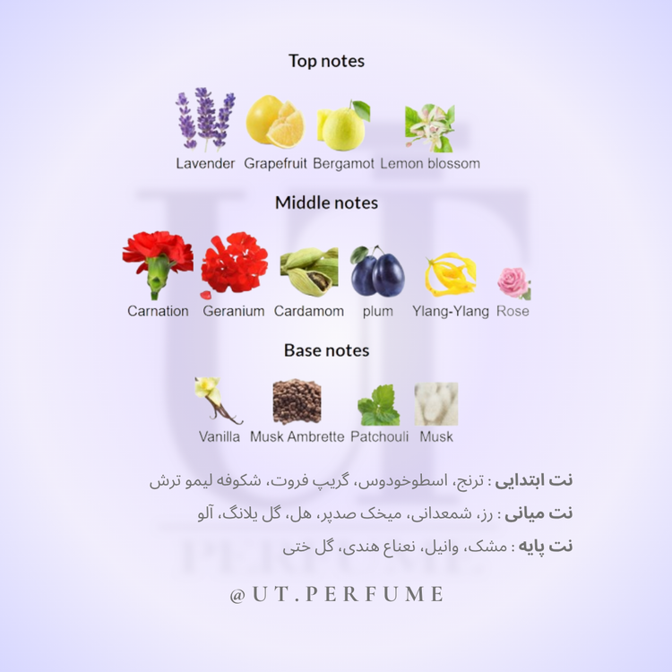 عطر زرجوف کازاموراتی رجیو | Xerjoff - Casamorati - Regio