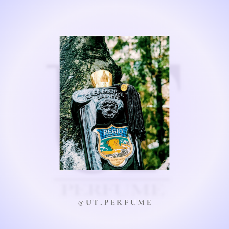 عطر زرجوف کازاموراتی رجیو | Xerjoff - Casamorati - Regio