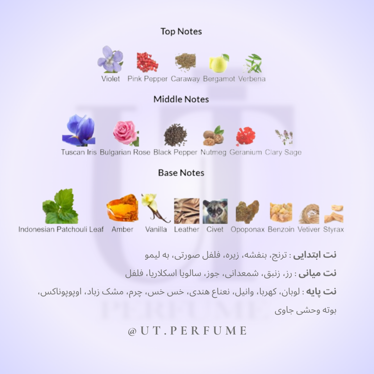 عطر تام فورد نویر مردانه | Tom Ford - Noir