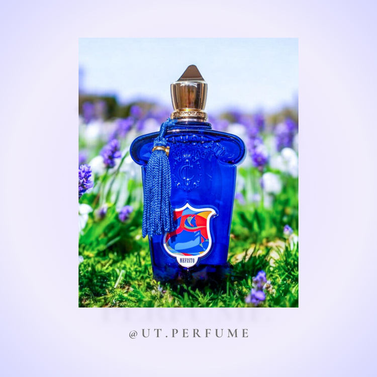 عطر زرجوف کازاموراتی مفیستو مردانه | Xerjoff - Casamorati Mefisto