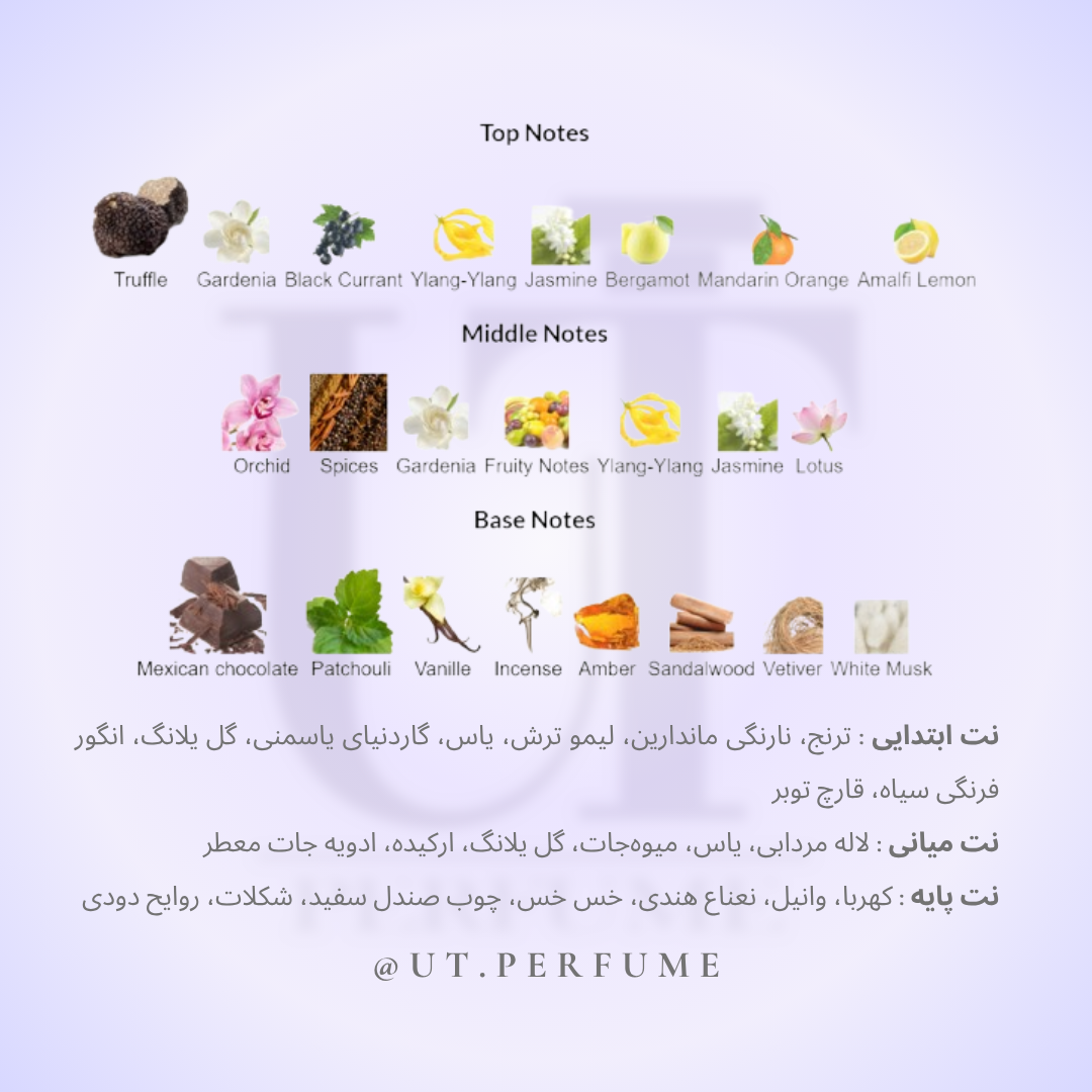 عطر تام فورد بلک ارکید | Tom Ford - Black Orchid