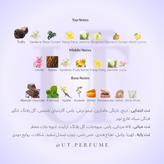 عطر تام فورد بلک ارکید | Tom Ford - Black Orchid