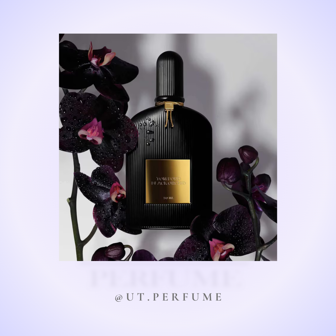 عطر تام فورد بلک ارکید | Tom Ford - Black Orchid