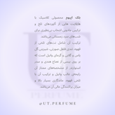 عطر ایو سن لورن بلک اپیوم زنانه | Yves Saint Laurent - Black opium