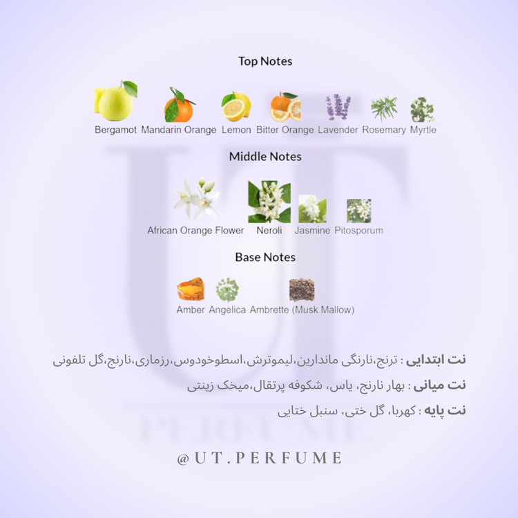 عطر تام فورد نرولی پورتوفینو | Tom Ford - Neroli Portofino