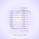 عطر تام فورد نرولی پورتوفینو | Tom Ford - Neroli Portofino