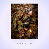 عطر ادکلن تام فورد عود وود | Tom Ford - Oud Wood