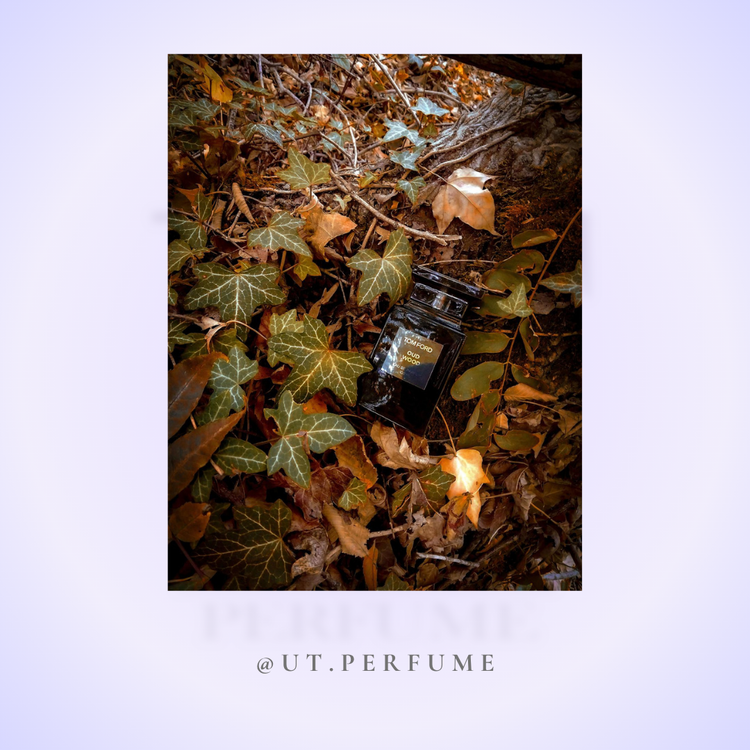 عطر ادکلن تام فورد عود وود | Tom Ford - Oud Wood