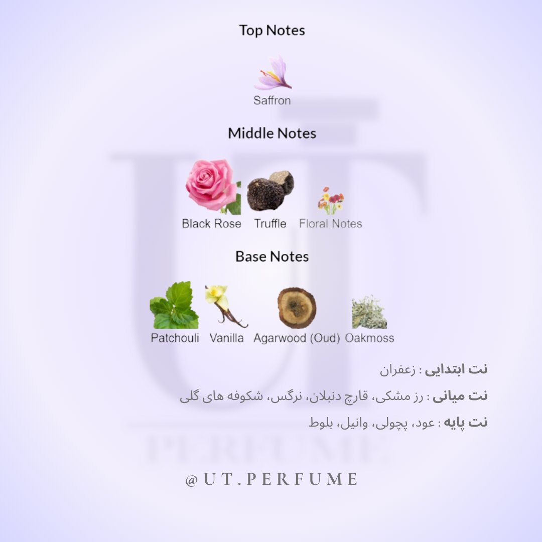 عطر تام فورد نویر د نویر | Tom Ford - Noir de Noir