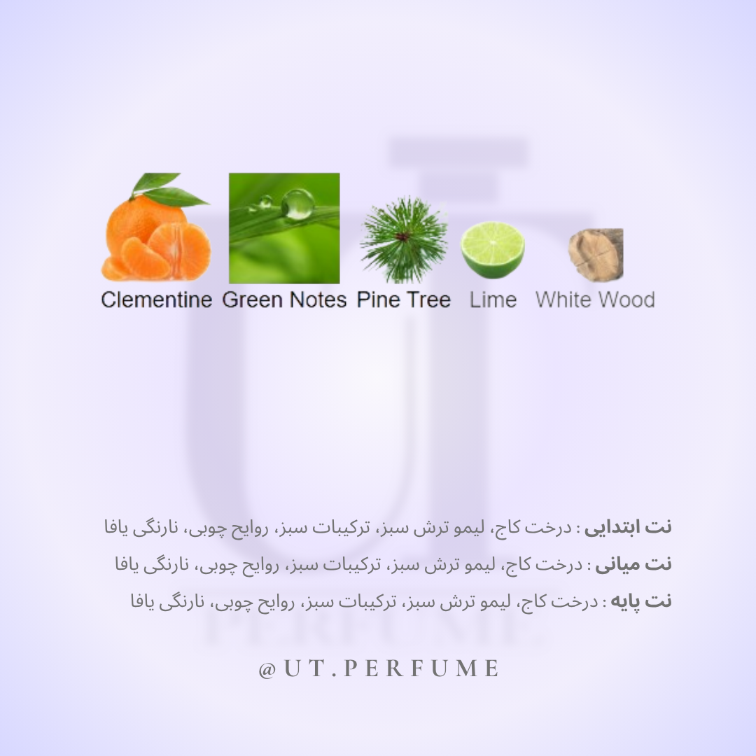 عطر تامی هیلفیگر تی مردانه | TOMMY HILFIGER - Tommy Hilfiger T