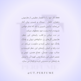 عطر کازاموراتی زرجوف 1888 | Xerjoff - Casamorati 1888