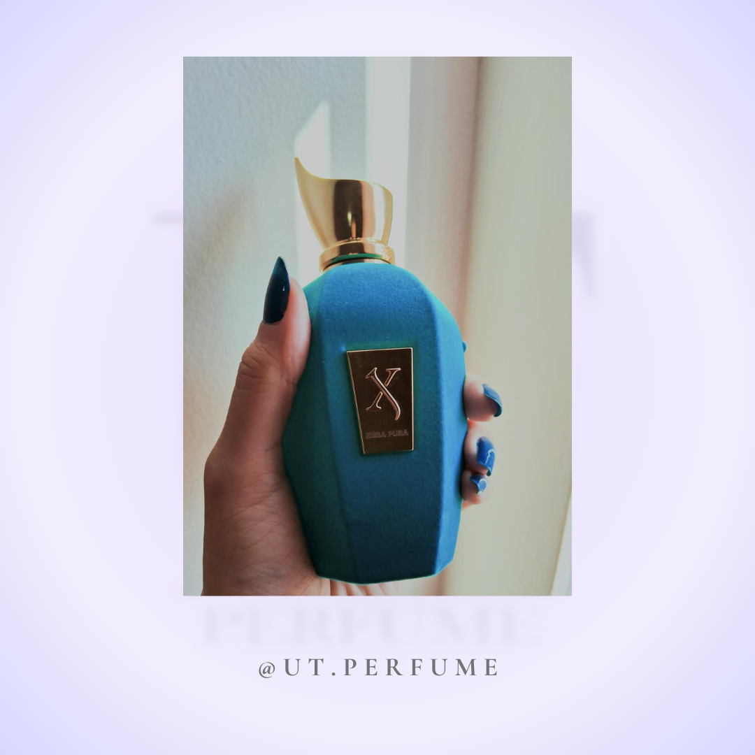 عطر زرجوف اربا پورا | Xerjoff - Erba Pura