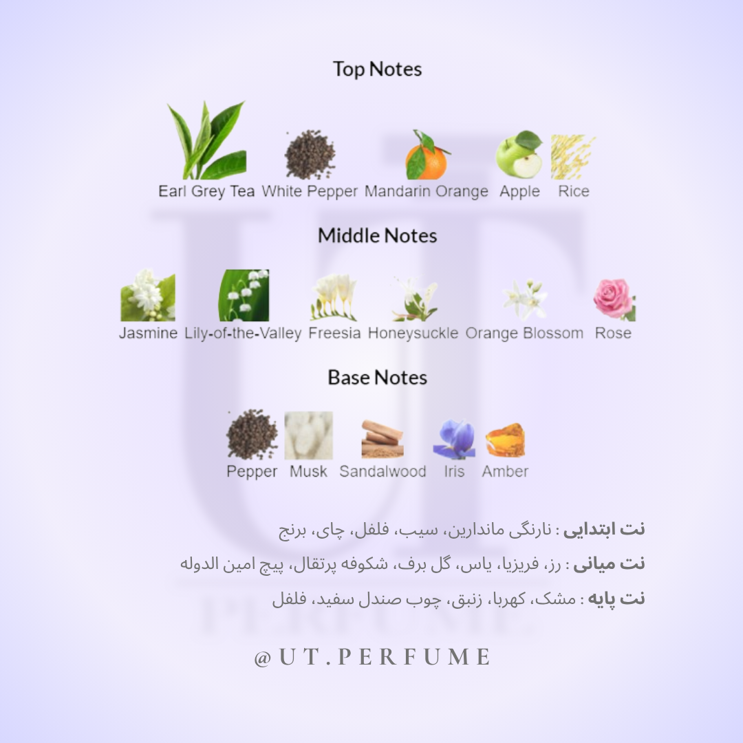 عطر جنیفر لوپز استیل زنانه | Jennifer Lopez - Still