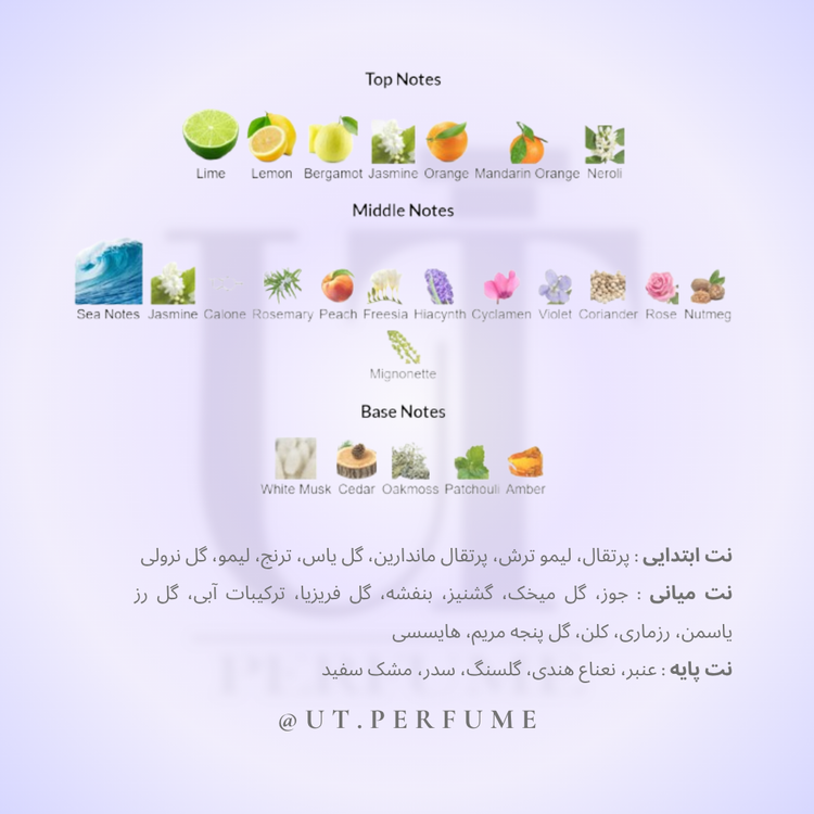 عطر جورجیو آرمانی آکوا دی جیو مردانه | Giorgio Armani - Acqua di Gio