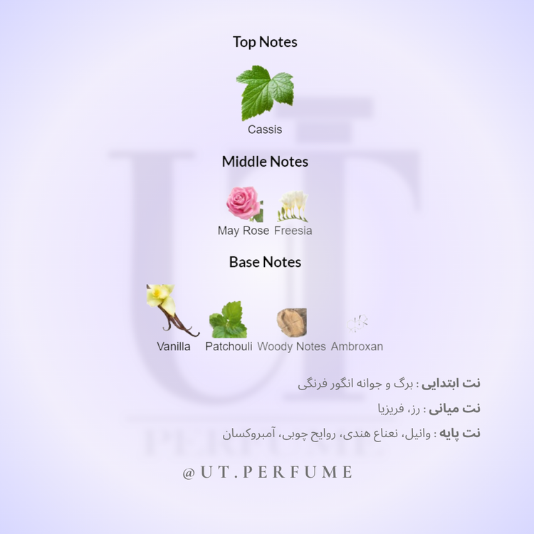 عطر جورجیو آرمانی سی زنانه | Giorgio Armani - Si