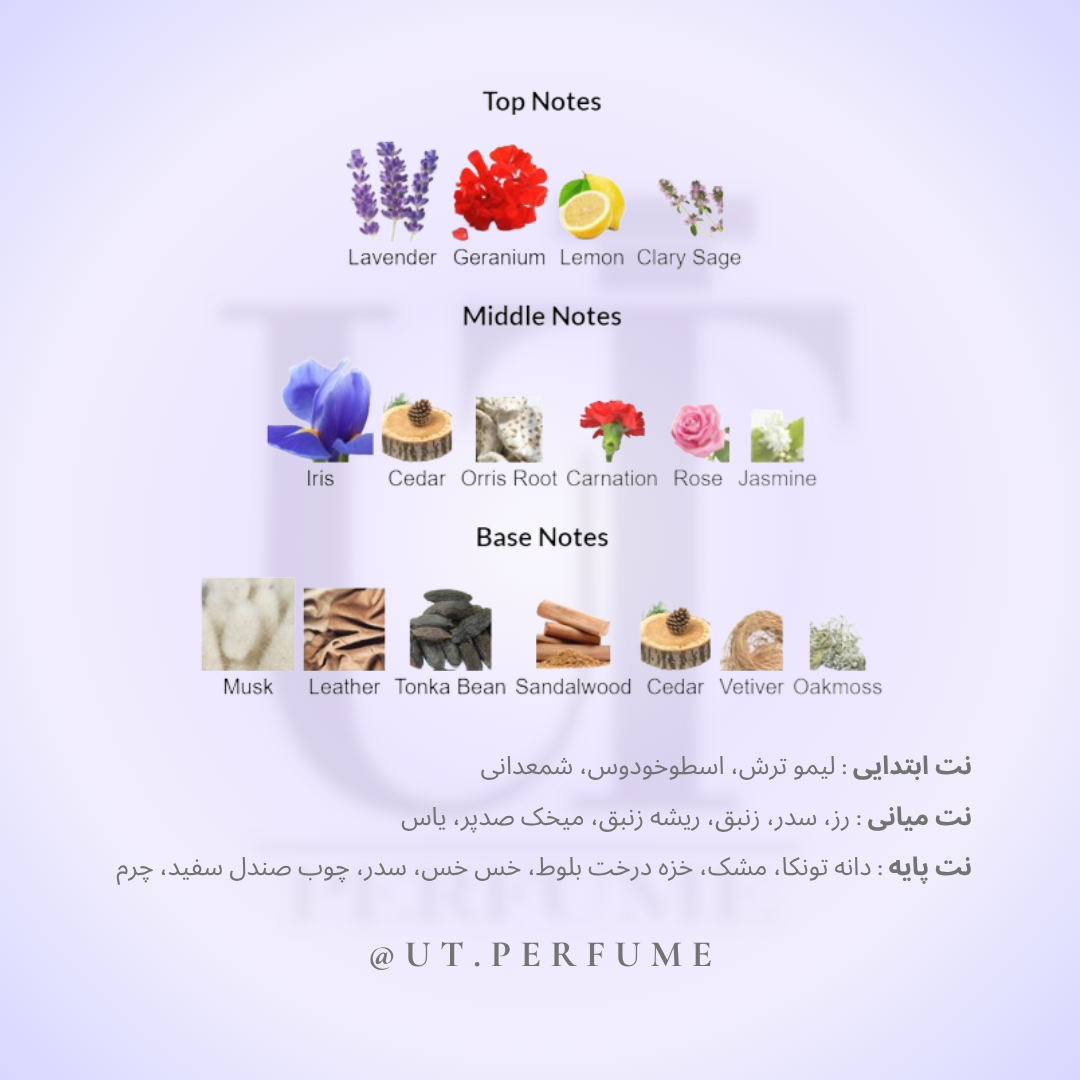 عطر دانهیل قهوه ای مردانه | Dunhill - Dunhill for men