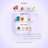 عطر دانهیل دیزایر بلو اوشن مردانه | Dunhill - Desire Blue Ocean