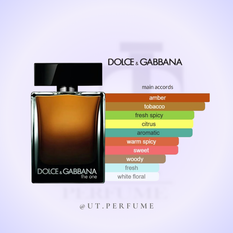 عطر دولچه گابانا د وان مردانه | Dolce Gabbana - The One