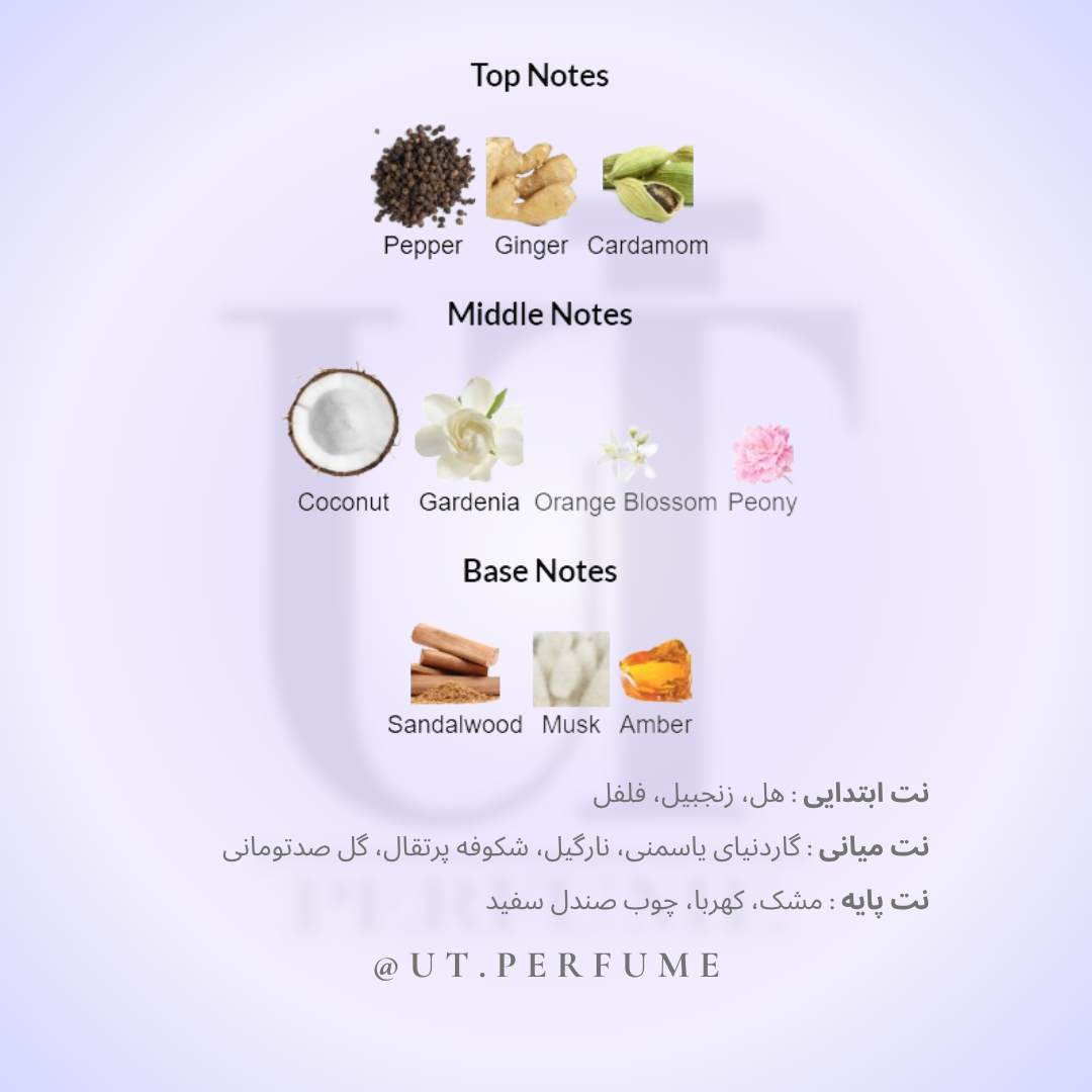 عطر ورساچه کریستال نویر (ورساچه مشکی) زنانه | Versace - Crystal Noir