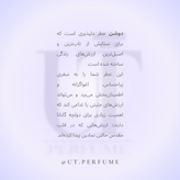 عطر دولچه گابانا دیووشن زنانه | Dolce Gabbana - Devotion