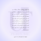 عطر ورساچه پورهوم (ورساچه آبی) مردانه | Versace - Pour Homme