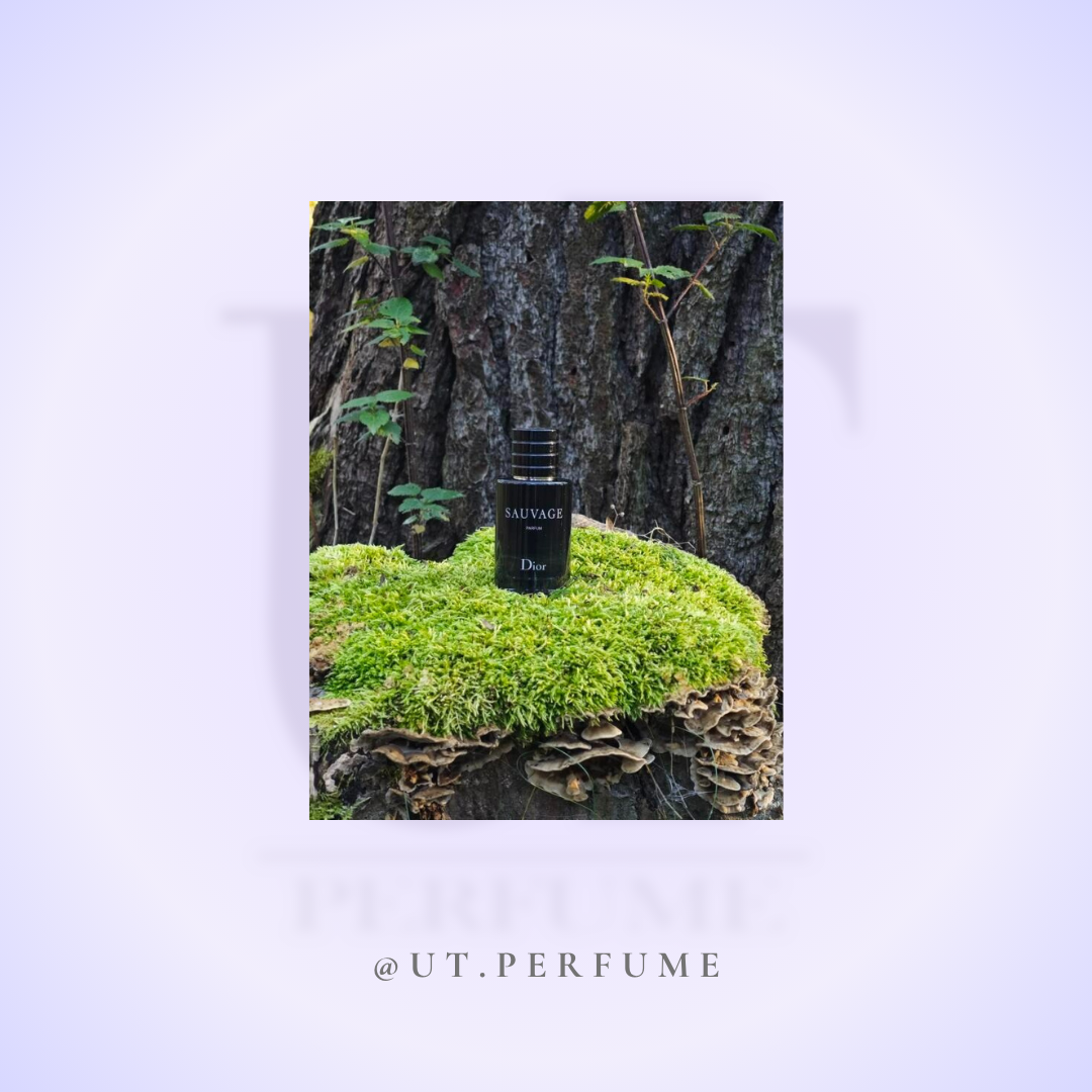 عطر دیور ساواج-ساواژ مردانه | Dior - Sauvage