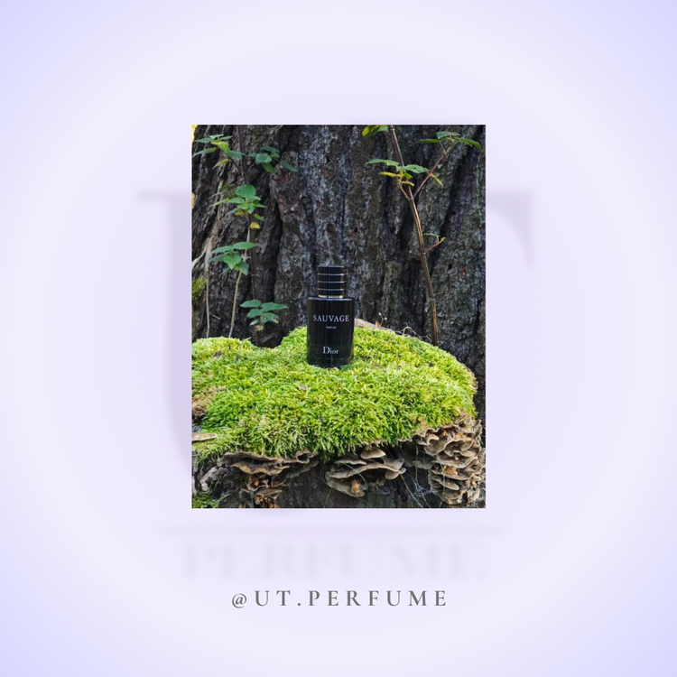 عطر دیور ساواج-ساواژ مردانه | Dior - Sauvage