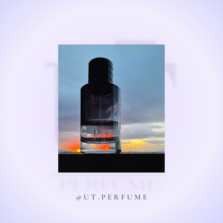 عطر دیور ساواج-ساواژ مردانه | Dior - Sauvage