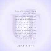 عطر ورساچه ورسوس زنانه | Versace - Versus