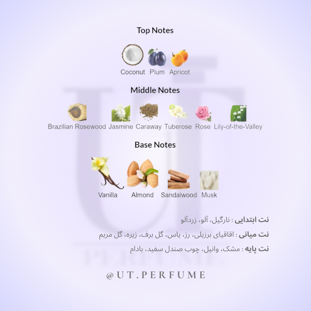 عطر دیور هیپنوتیک پویزن زنانه | Dior - Hypnotic Poison