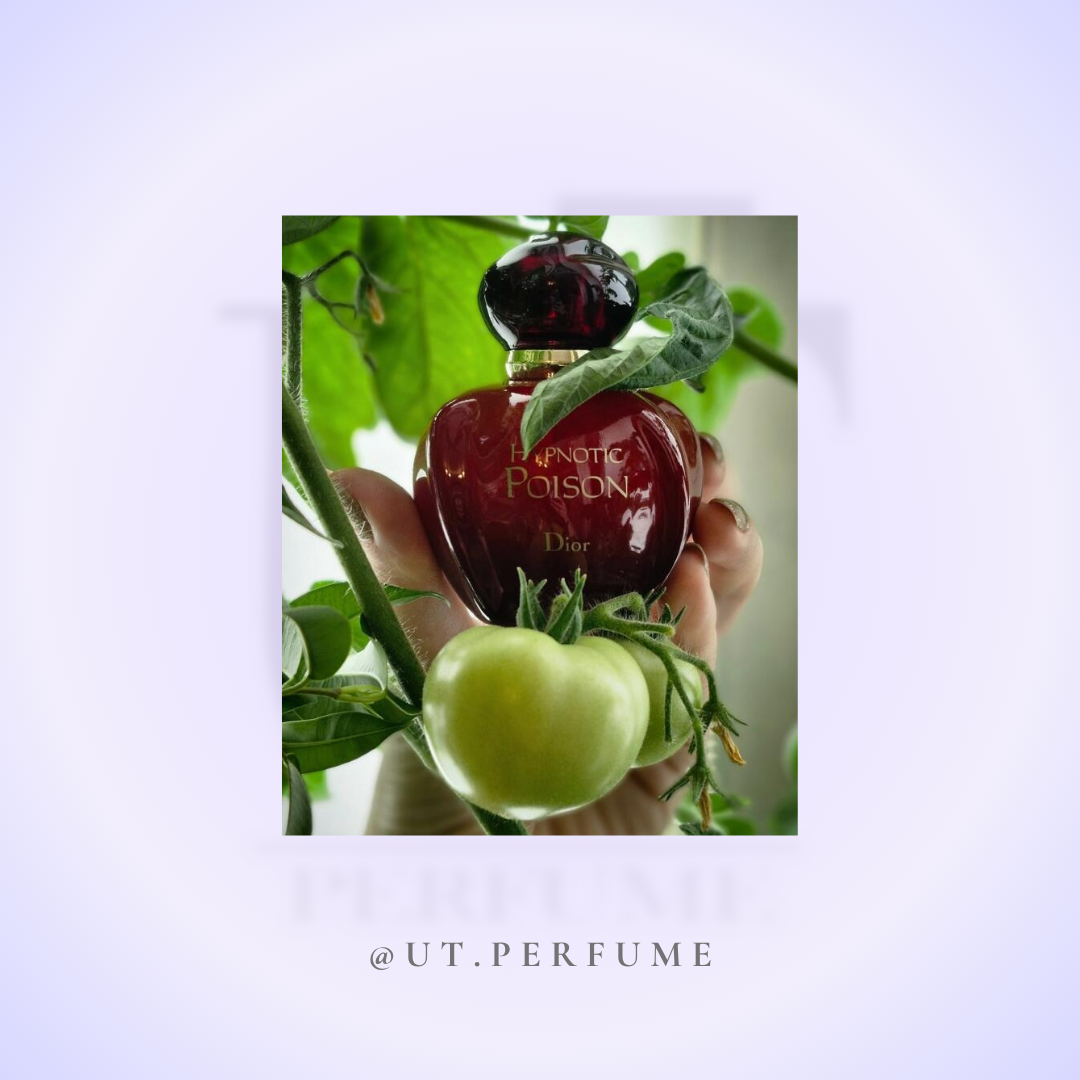 عطر دیور هیپنوتیک پویزن زنانه | Dior - Hypnotic Poison