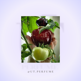 عطر دیور هیپنوتیک پویزن زنانه | Dior - Hypnotic Poison