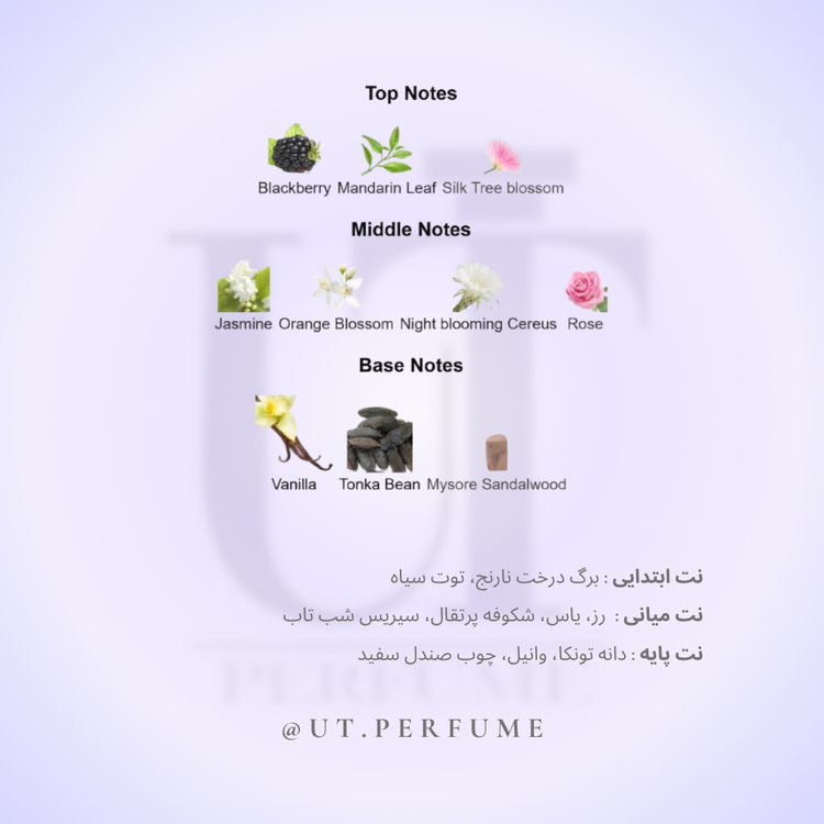 عطر دیور ادیکت زنانه | Dior - Addict