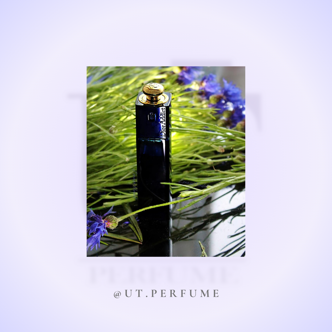 عطر دیور ادیکت زنانه | Dior - Addict