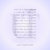 عطر دیور پیور پویزن زنانه | Dior - Pure Poison