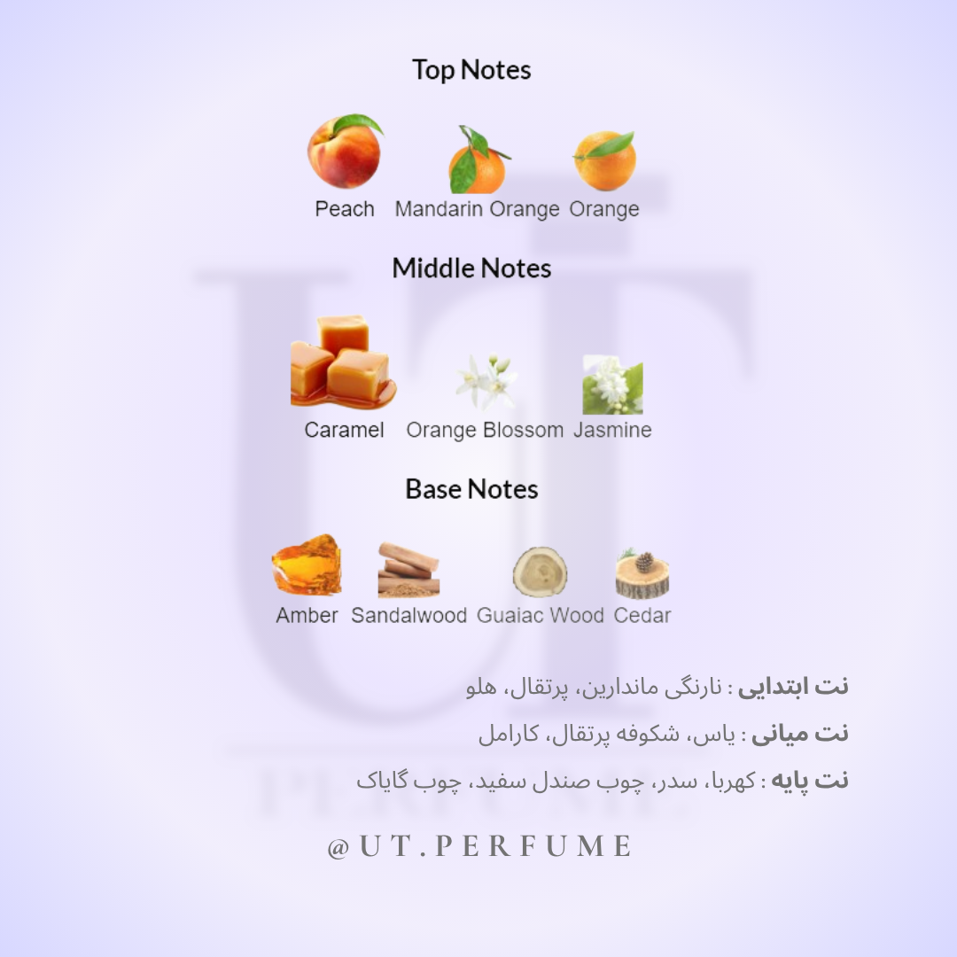 عطر ویکتور اند رولف بن بن (بون بون) زنانه | Viktor&Rolf - Bonbon