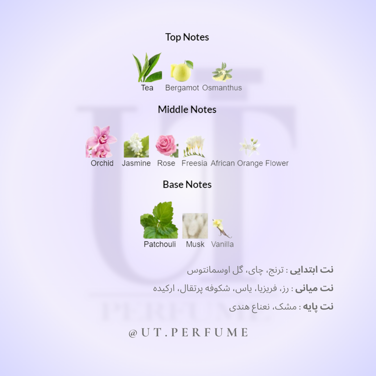 عطر ویکتور اند رولف فلاور بمب زنانه | VIiktor&Rolf - Flower Bomb