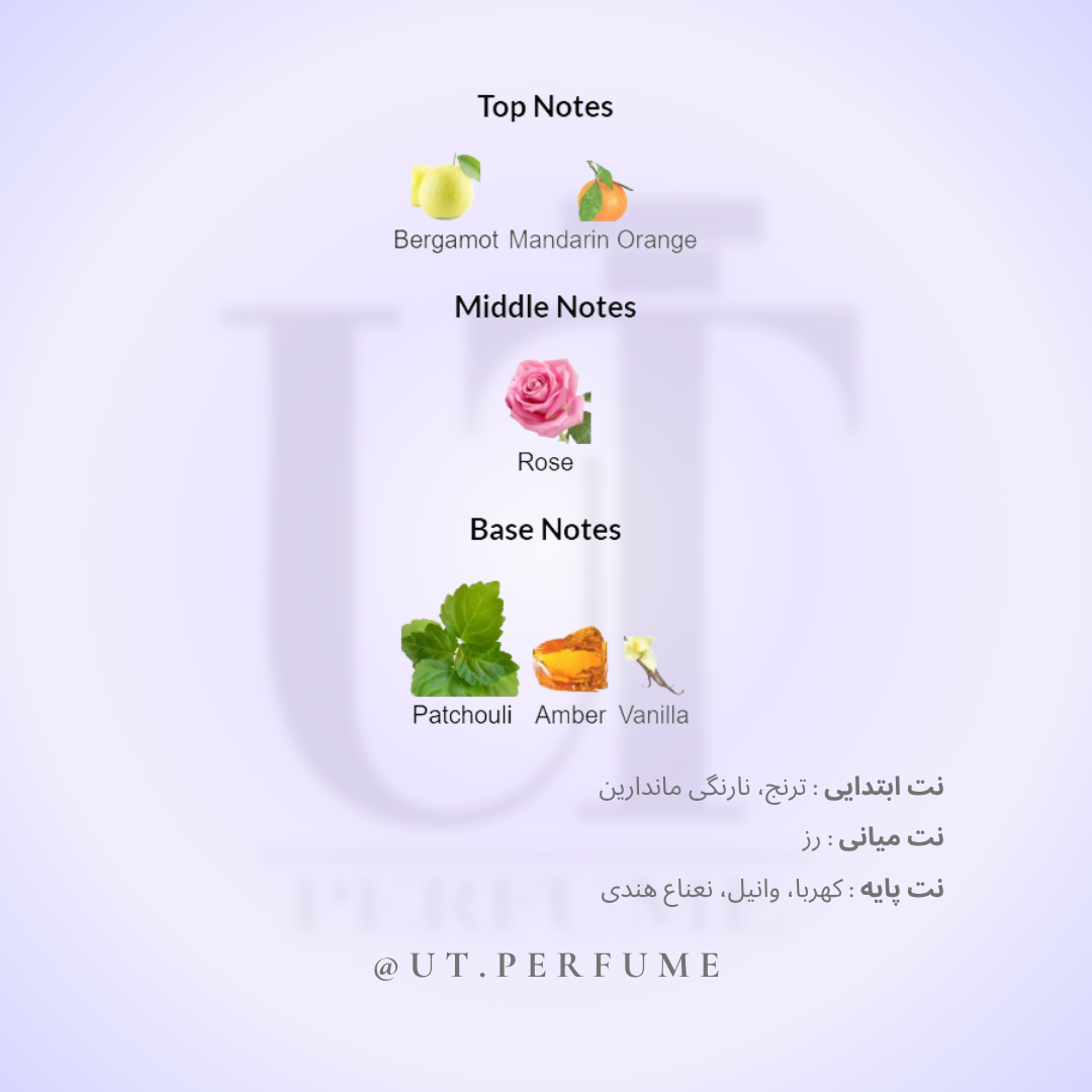 عطر دیور میدنایت پویزن زنانه | Dior - Midnight Poison