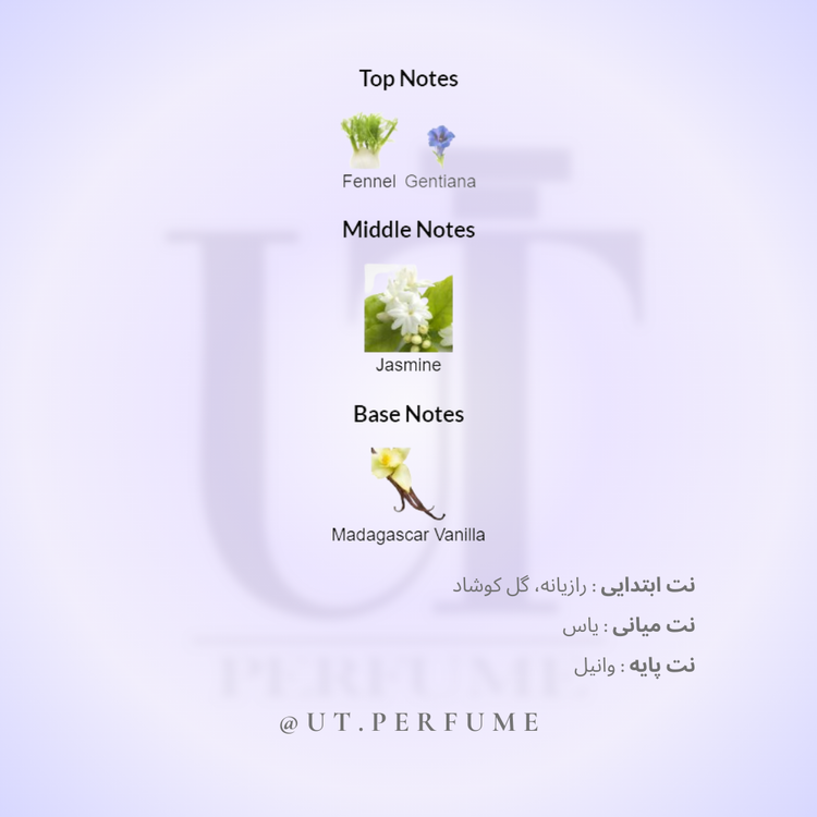 عطر ویکتور اند رولف گود فورتون زنانه | Viktor&Rolf - Good Fortune